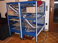 Our rat cage